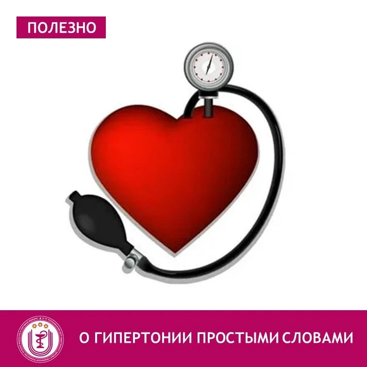 Представьте, что ваш кровеносный сосуд – это шланг. Когда давление в нем слишком высоко...