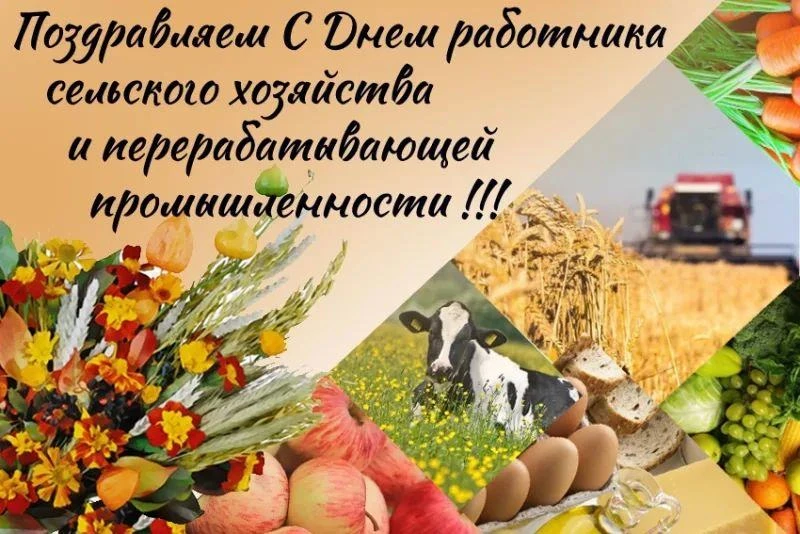 Уважаемые работники и ветераны сельскохозяйственной отрасли!