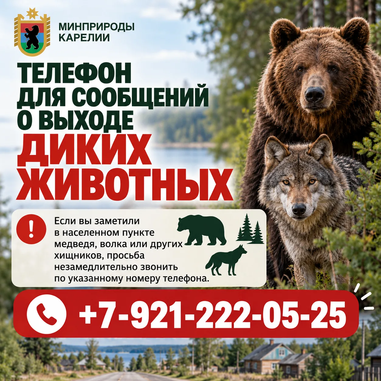 🛑 Запомните, запишите и поделитесь с близкими!