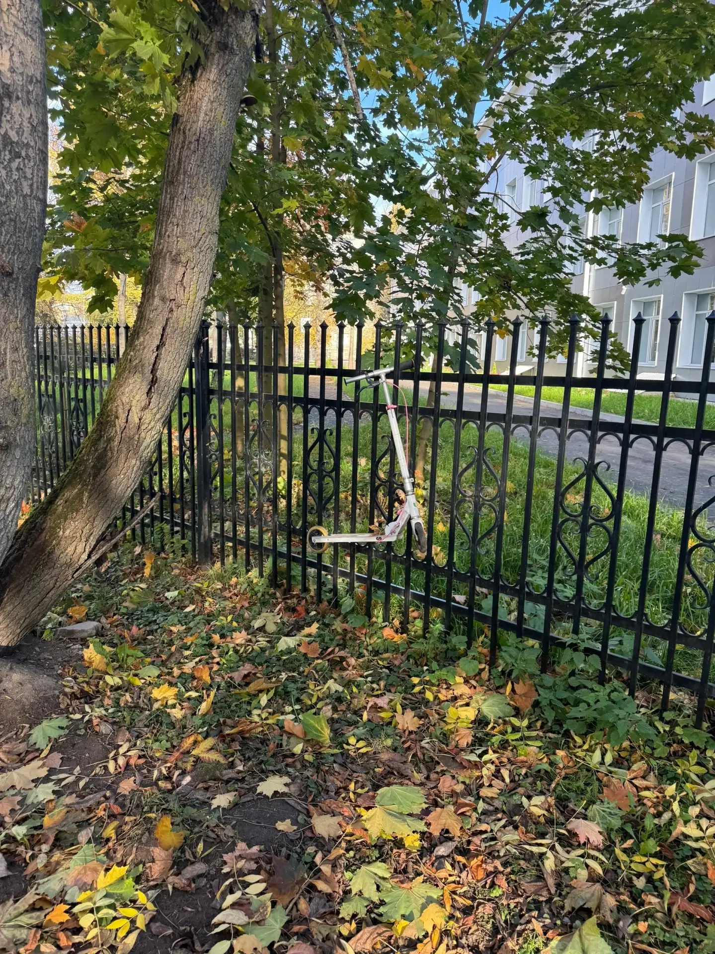 На заборе у колледжа Герцена,  53.