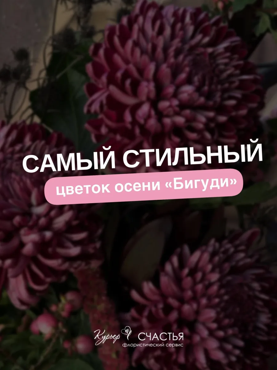 Пока сезон не закончился!