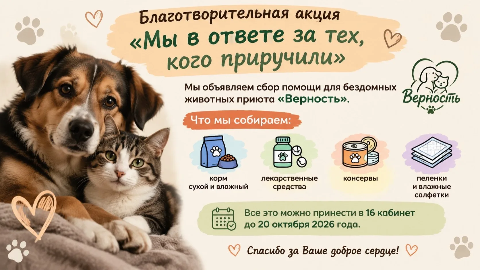 🐾 Доброта не имеет границ: запускаем традиционную акцию помощи бездомным животным!