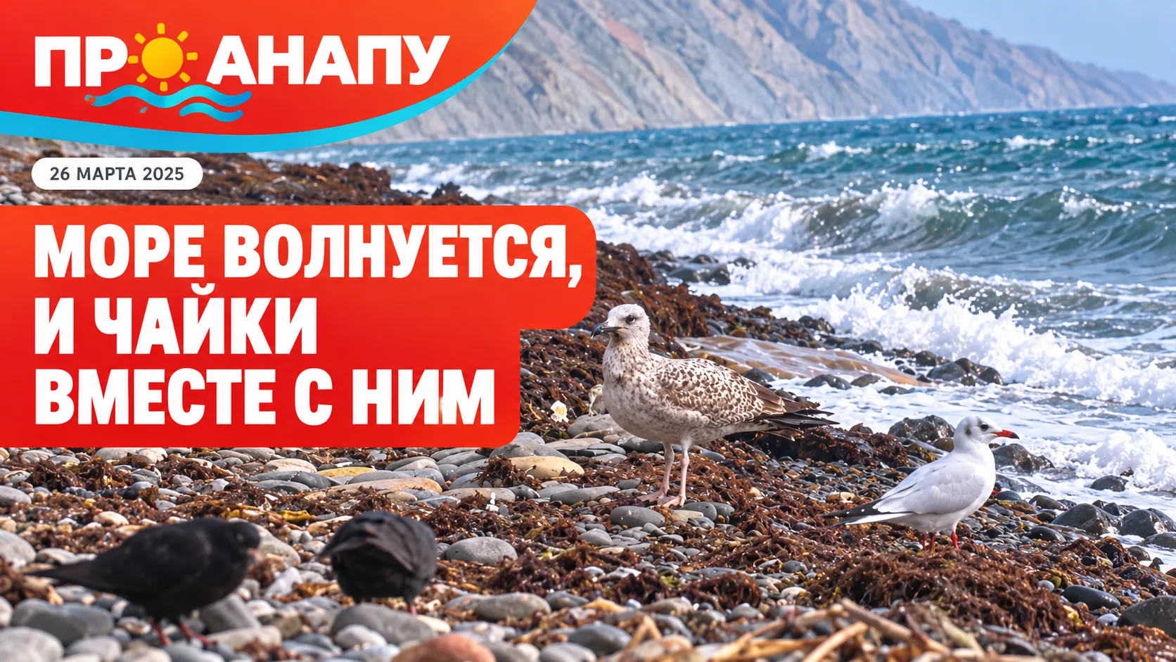Море волнуется 🌊 и чайки вместе с ним😊