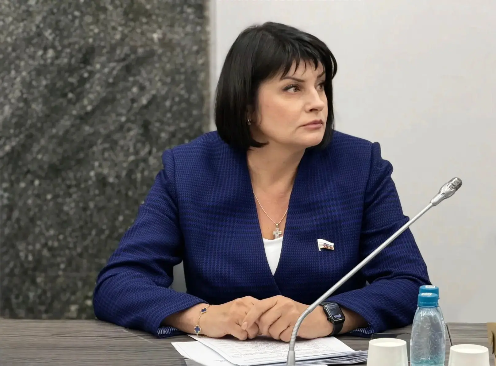 ▶️ На первом заседании Комитета Государственной Думы по туризму и развитию туристическо...