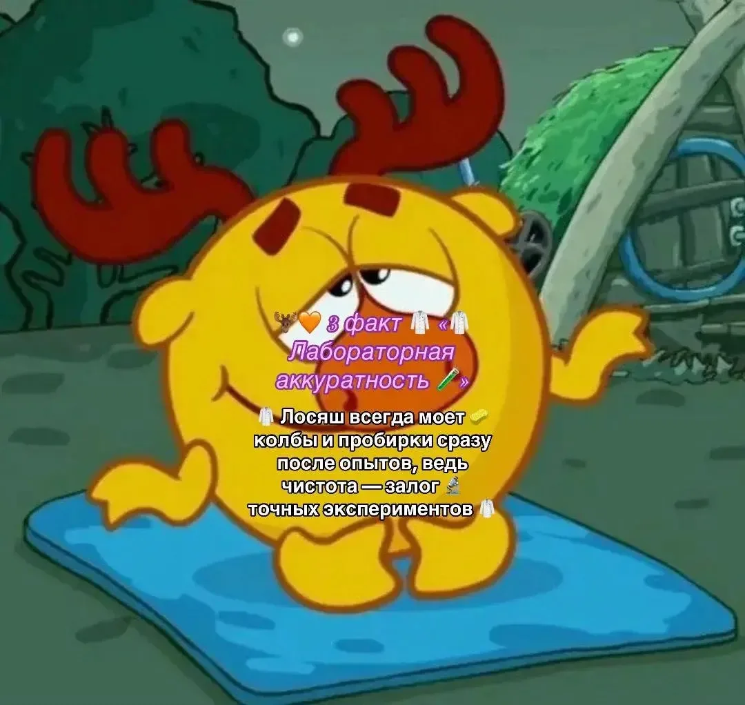 Факт о Лосяше