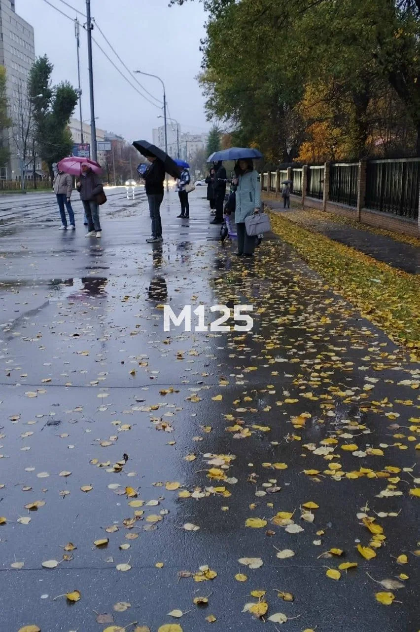 Соседка спрашивает, когда вернут остановочный павильон на "Парк Петра Алексеева". Уточн...