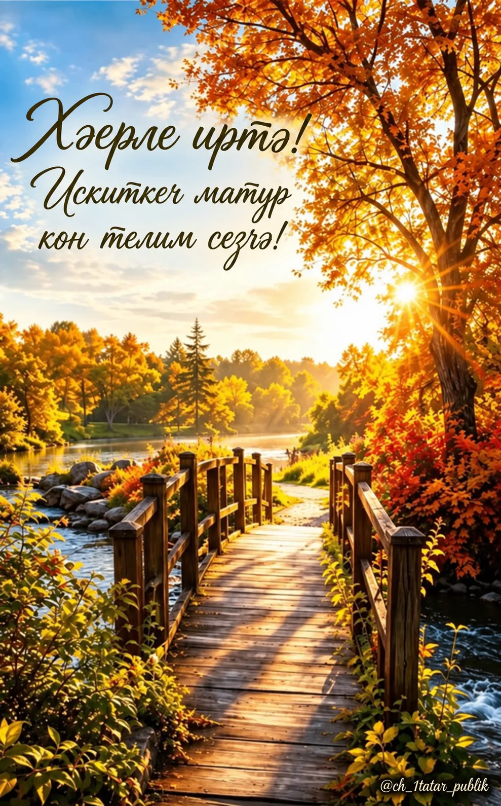 Фото