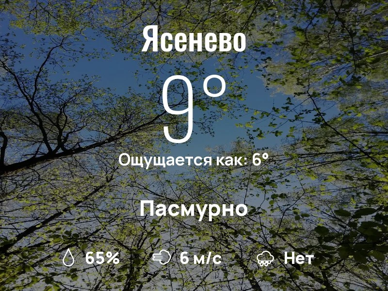 Что с погодой в Ясенево?