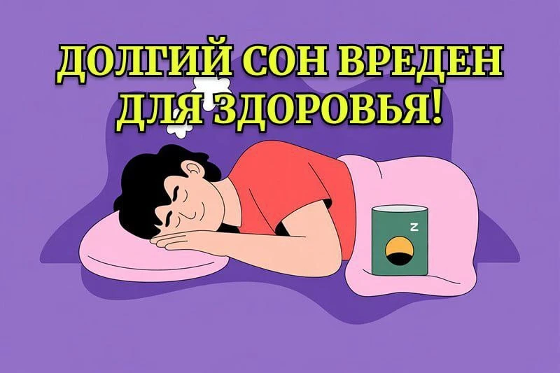 💤 Спишь как сурок? Пора просыпаться, пока не поздно!