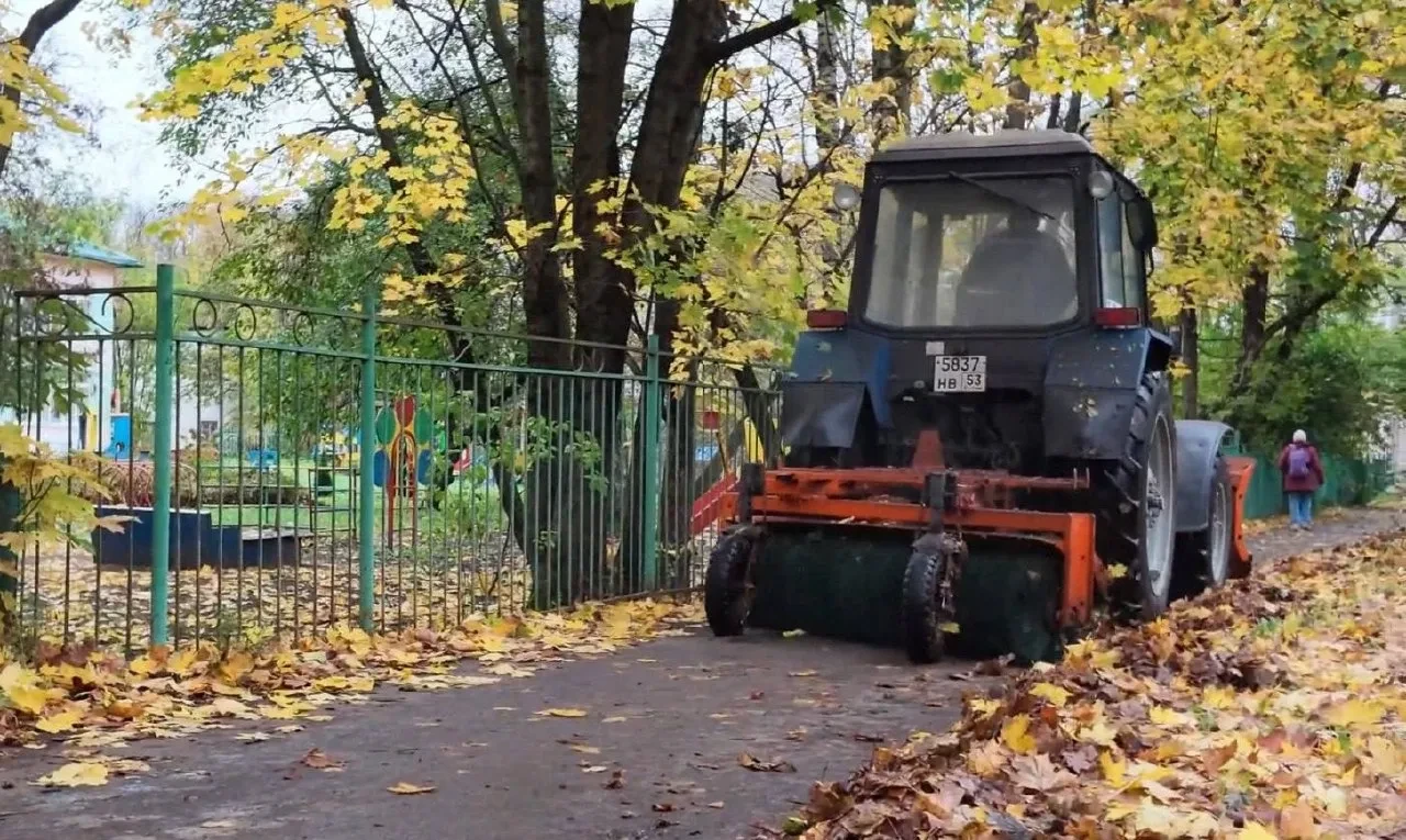 В Новгороде стартует уборка листвы
