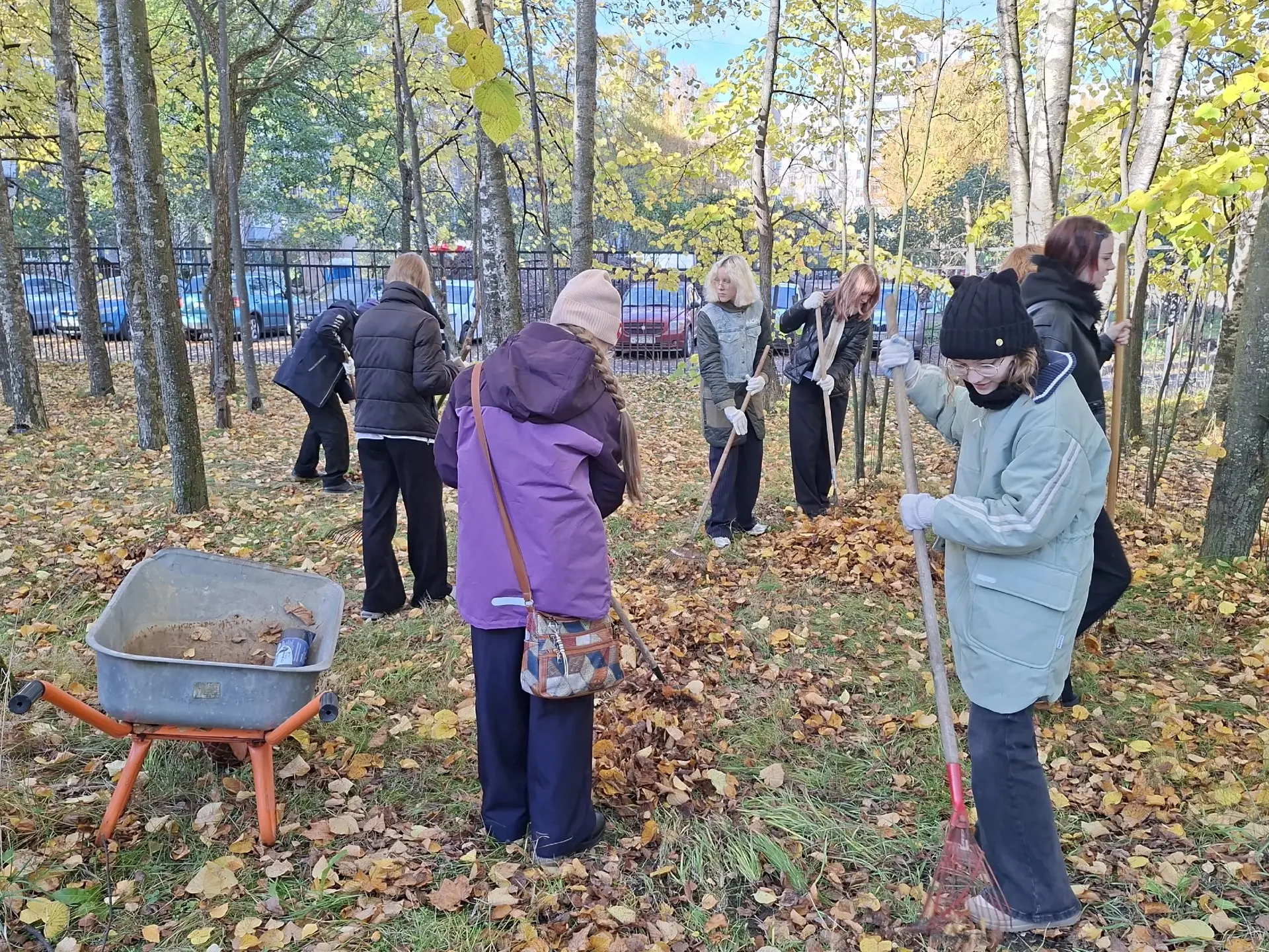 🍂🌞 Сегодня ученики 8В класса вышли на пришкольный участок, чтобы убрать осеннюю листв...