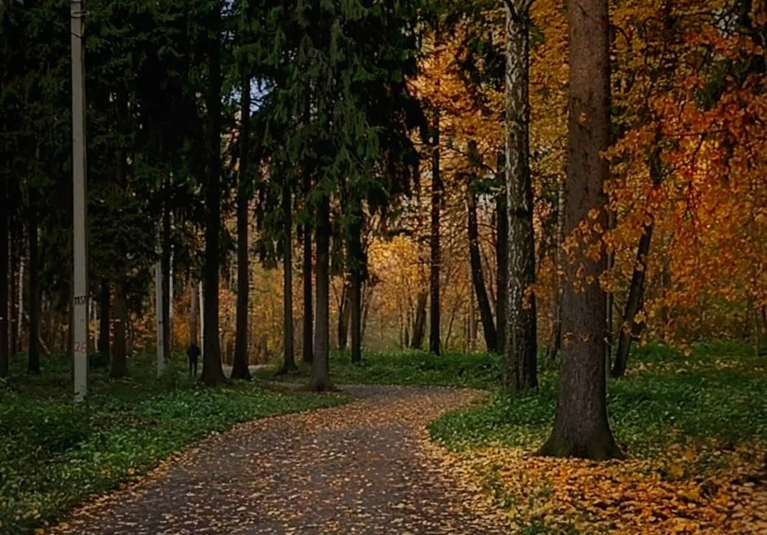 🌼 Доброе утро, Москва!