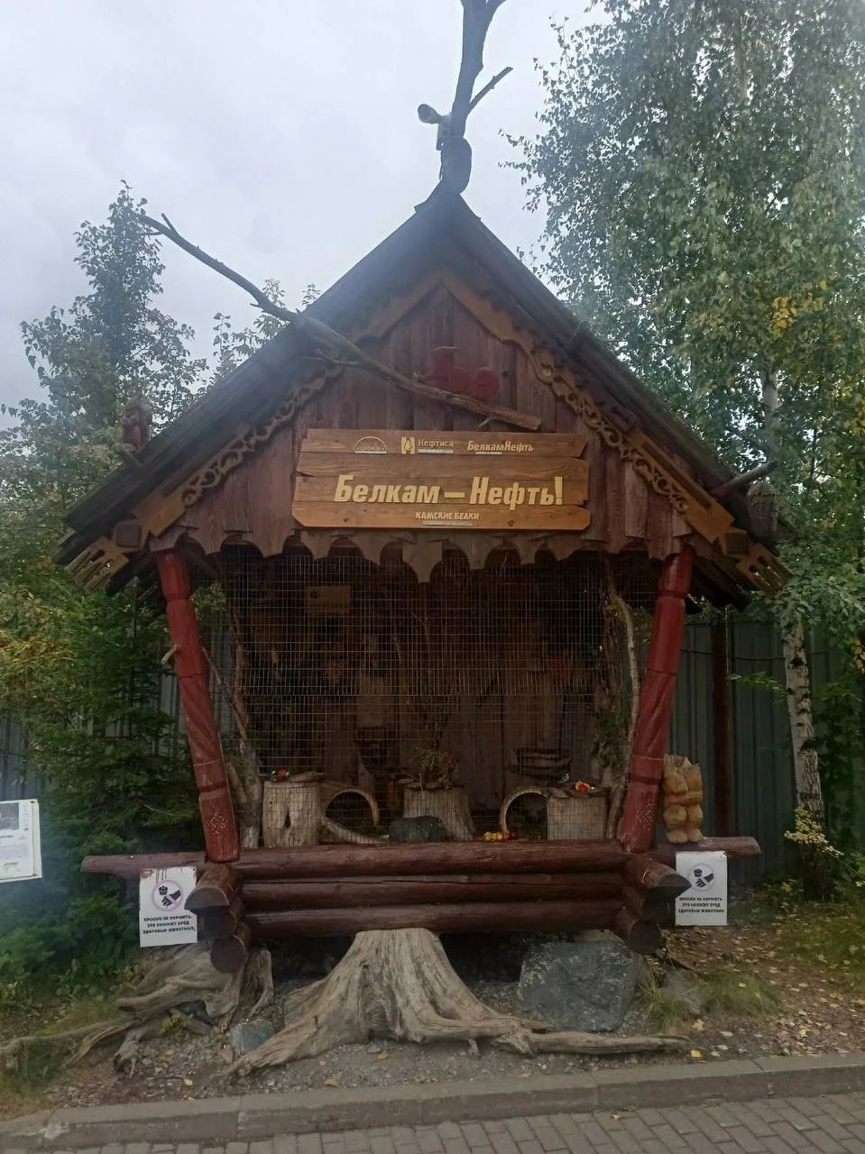 Ижевский зоопарк официально уходит в зимнюю спячку.