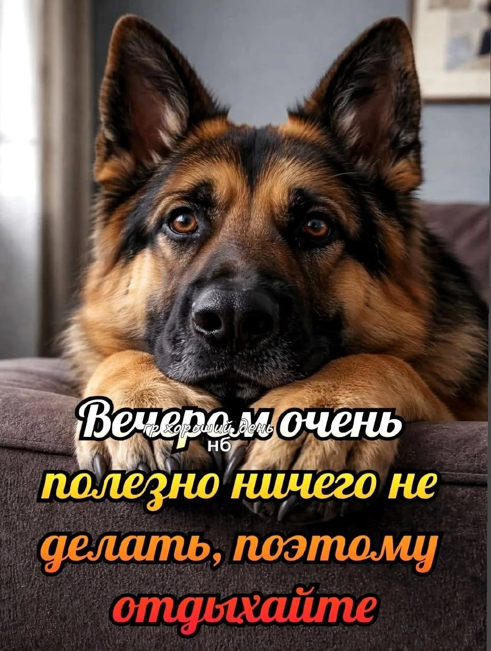 🌷 Открытки подписаться 👈