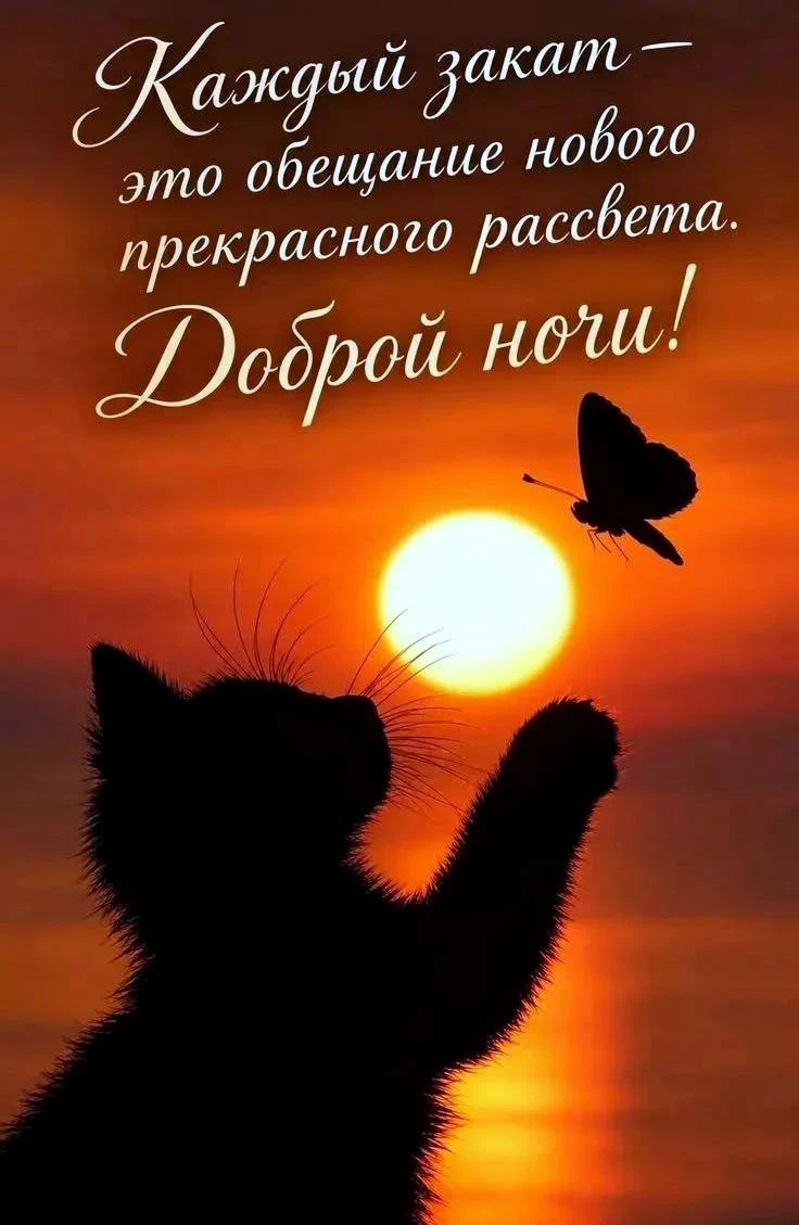 Милые открытки 😊 подписаться