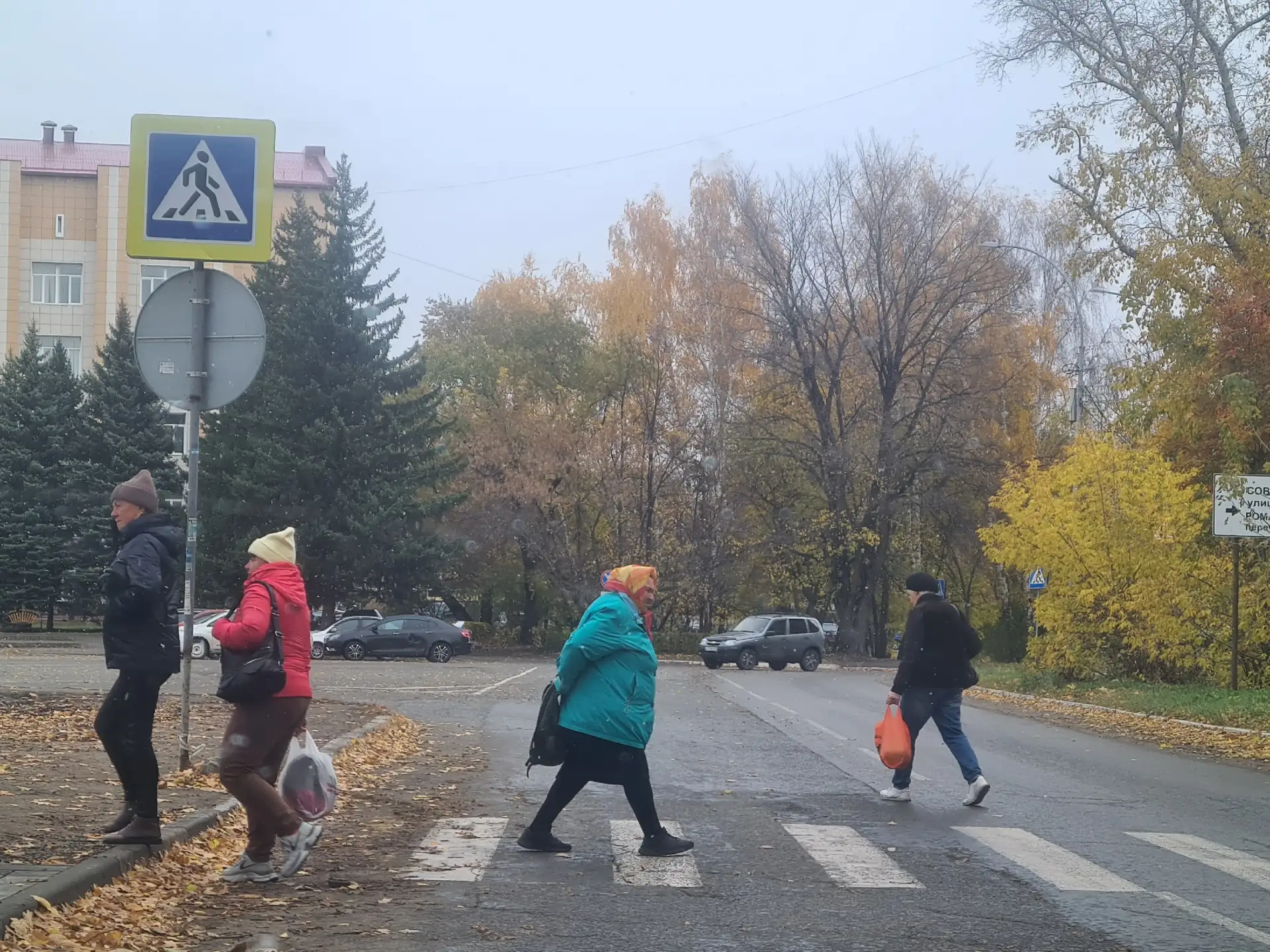 🚘❄️ Снег, дождь и гололёд: Госавтоинспекция предупреждает жителей Алтайского края об у...