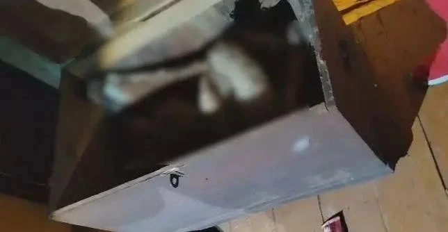 ‼️Брянскими полицейскими задержаны подозреваемые в убийстве