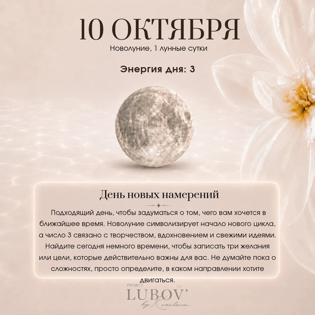 Доброе утро, дорогие 🤍