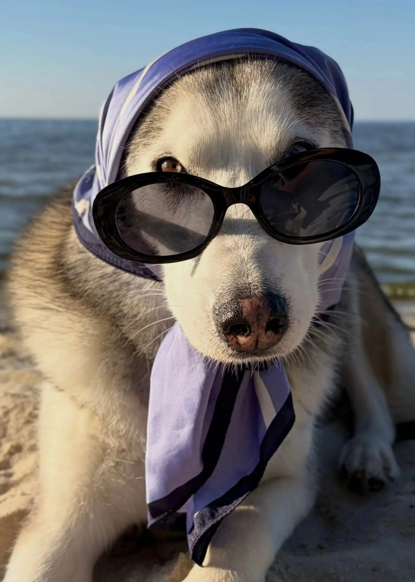Доброе утро, друзья! 😎