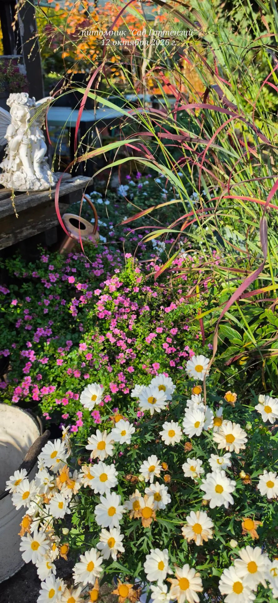 Пока ещё цветут летники🌸💕💕💕