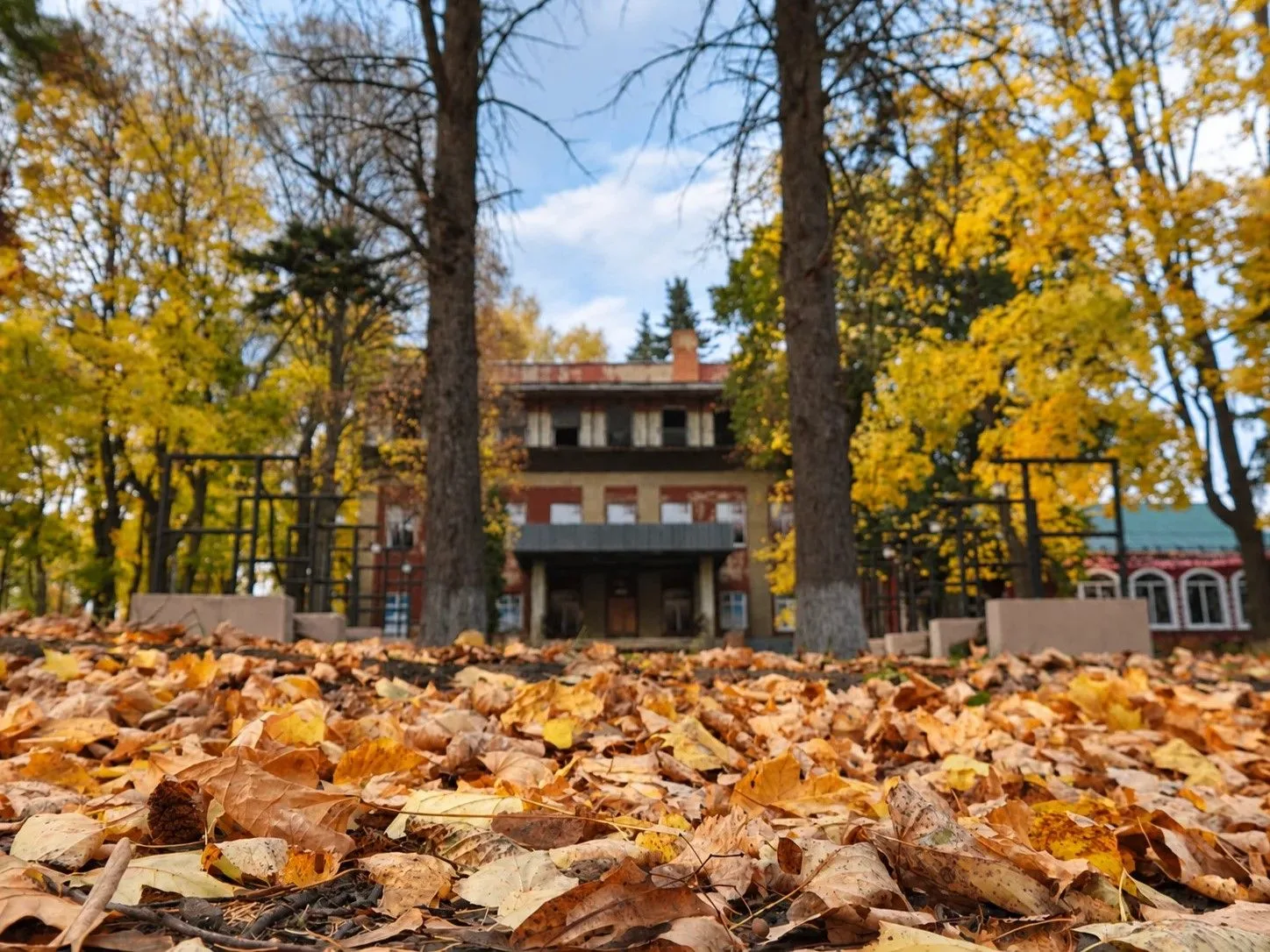 Невероятная осень в усадьбе Ведрова 🍂