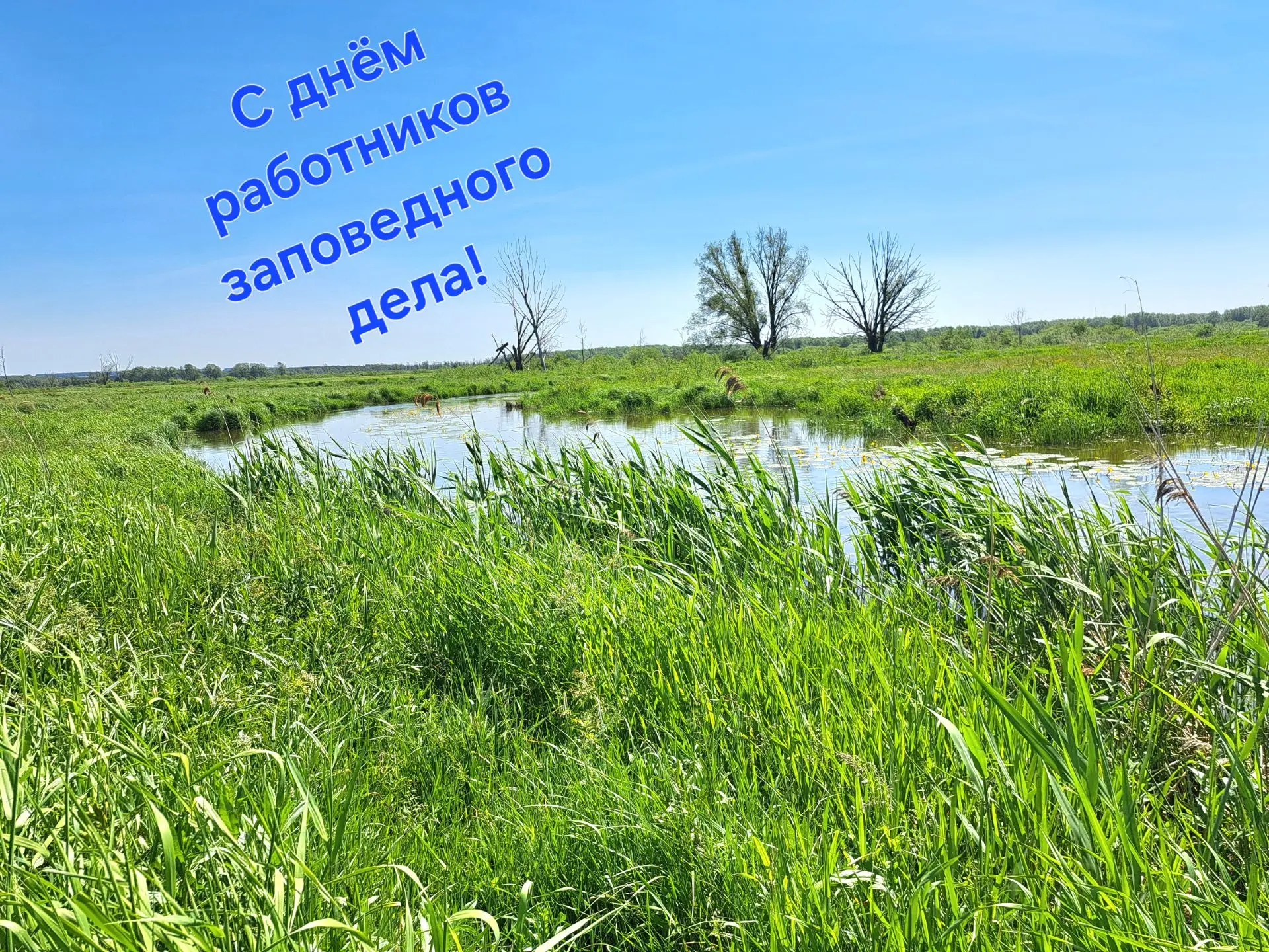 ❤️Уважаемые коллеги!