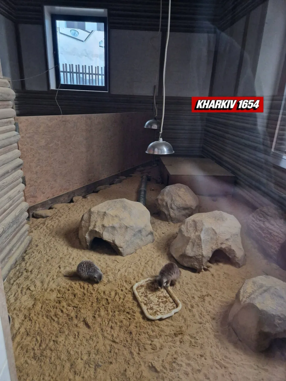 🇺🇦 В Харькове из-за блокировки казначейством платежей местного самоуправления от элек...
