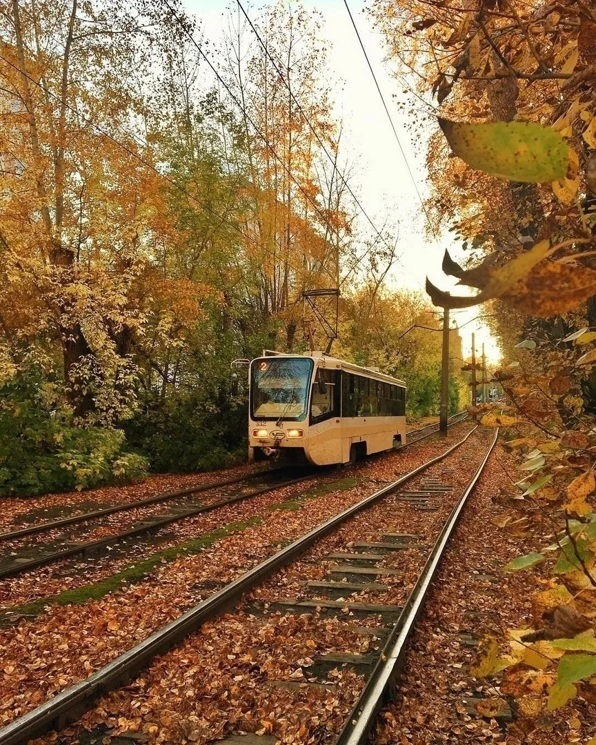 Трамвай в осень🍂