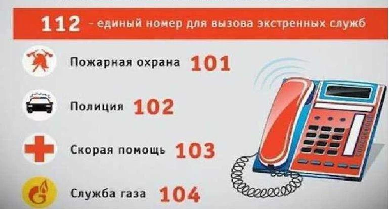 Если случилась беда, не паникуйте. Звоните по этим номерам — они работают круглосуточно...