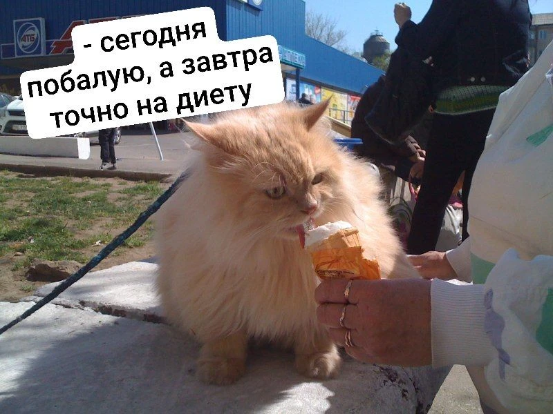 Доброе утро, Ростов!