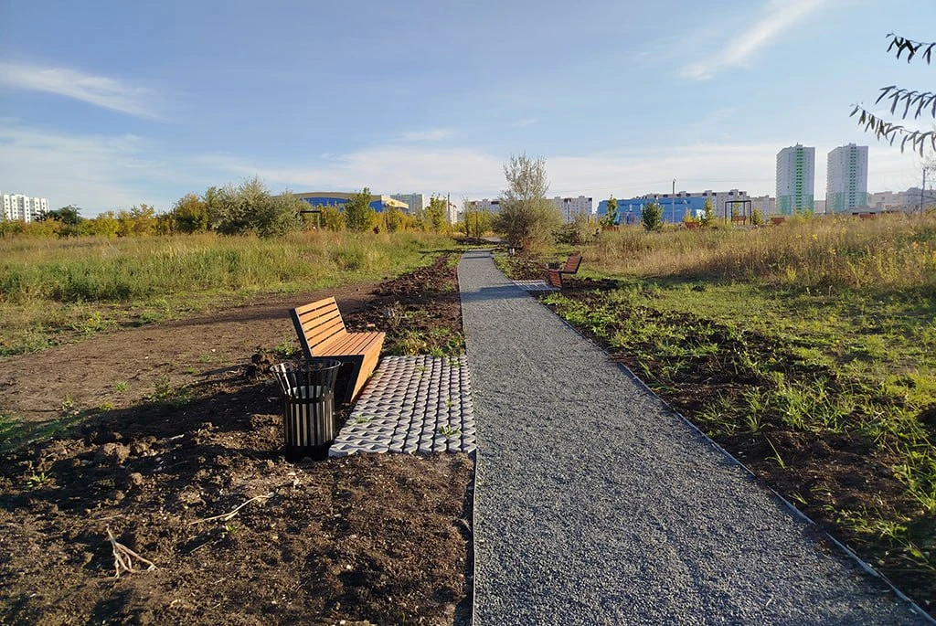 🌳 В экопарке Саратова высадят деревья и проведут субботник