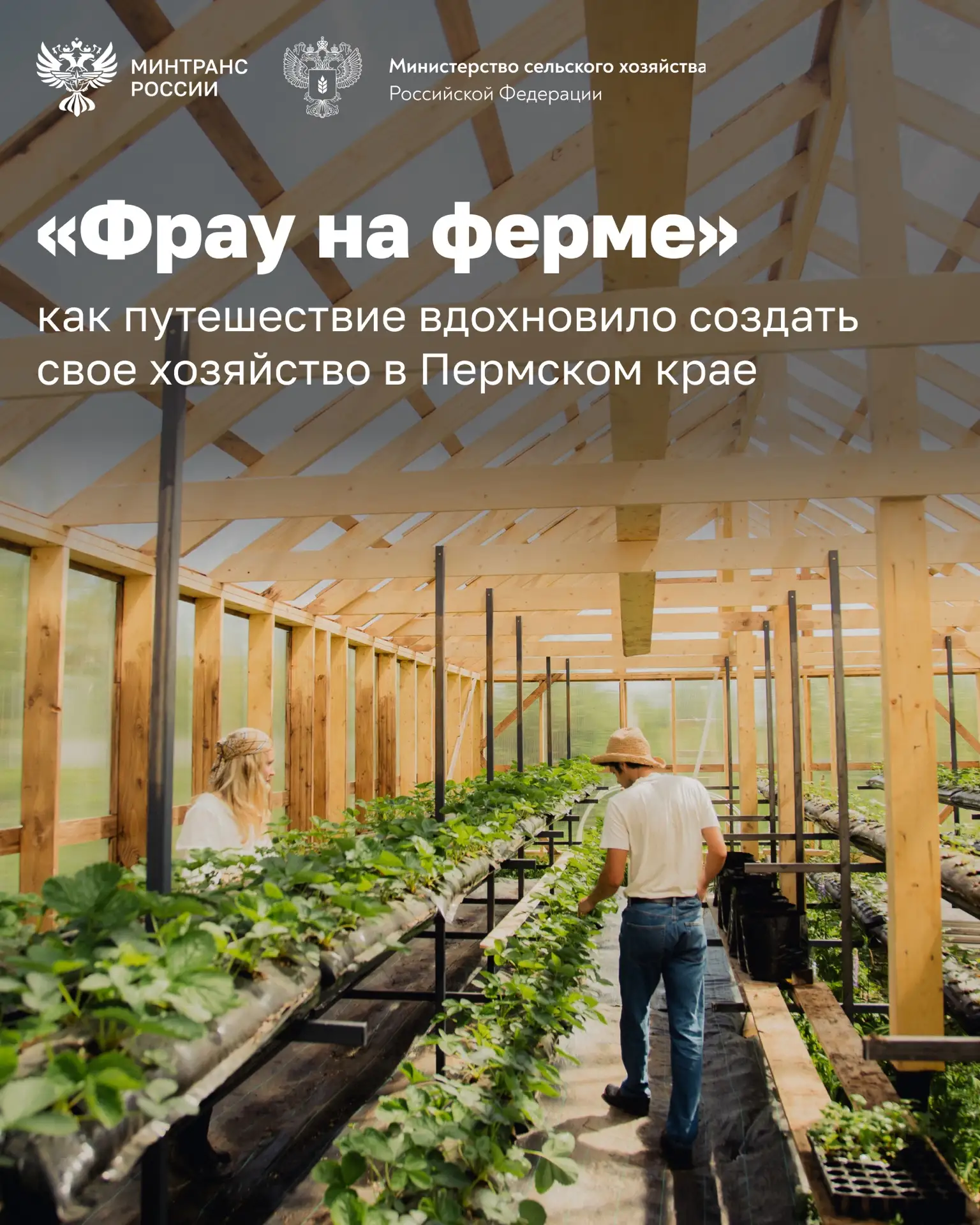 Иногда одно путешествие может перевернуть вашу жизнь