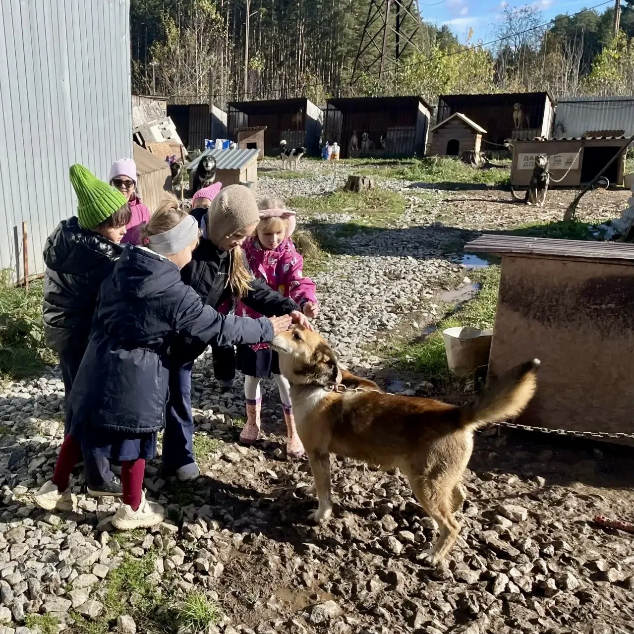 🐾Добрые дела!
