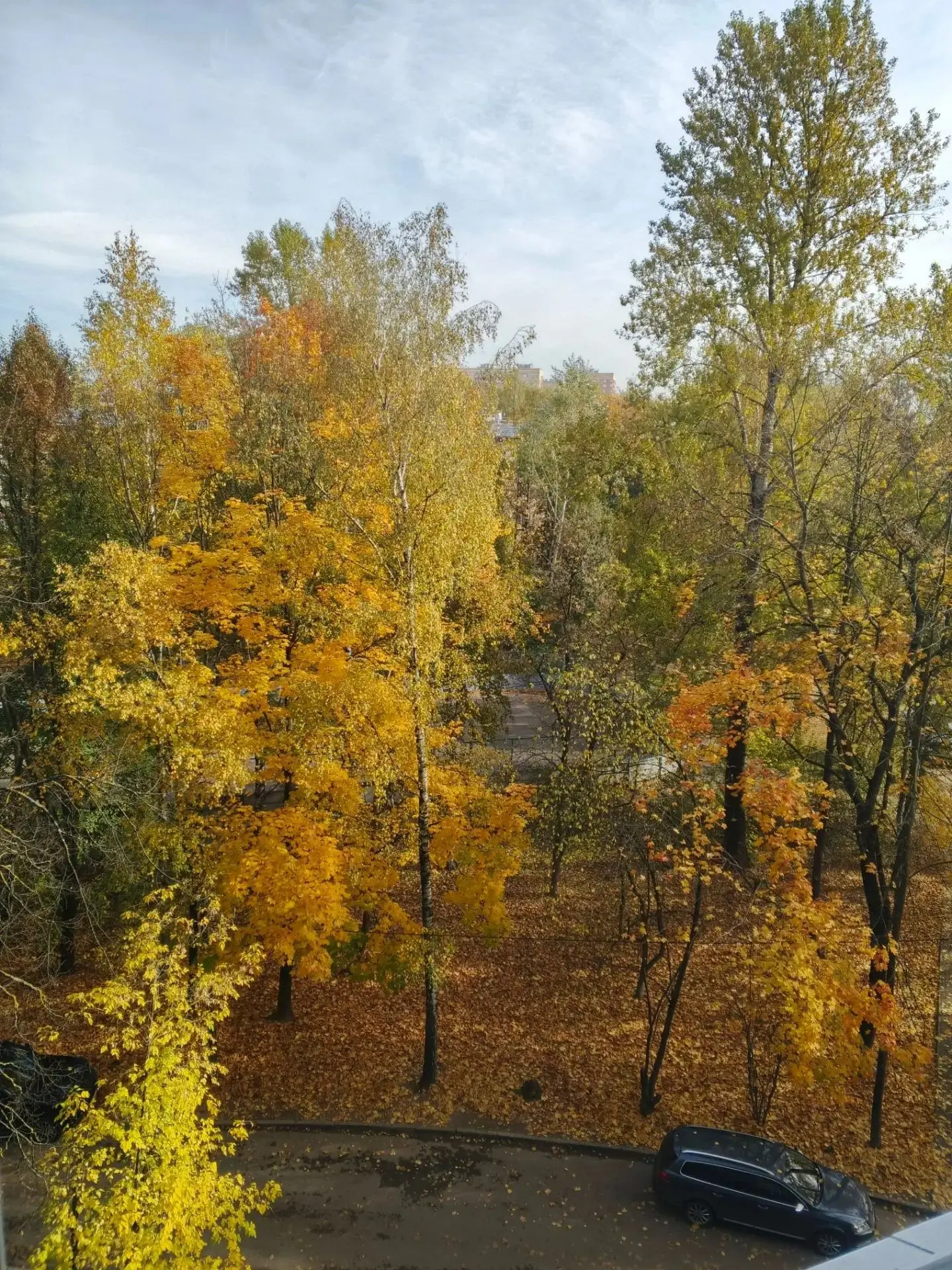 Осень золотая в окна нам глядит!