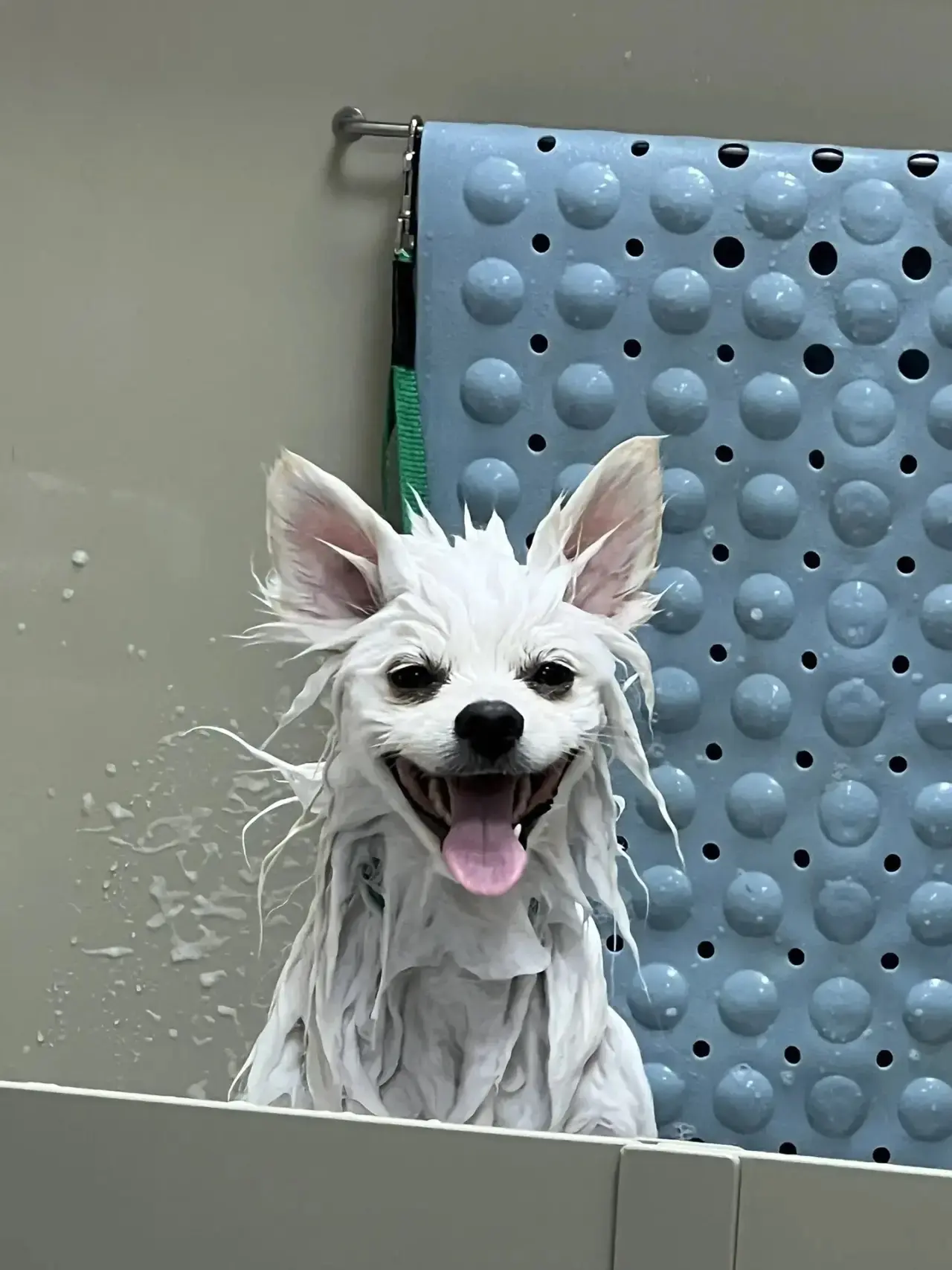 Всем отличного настроения 😀