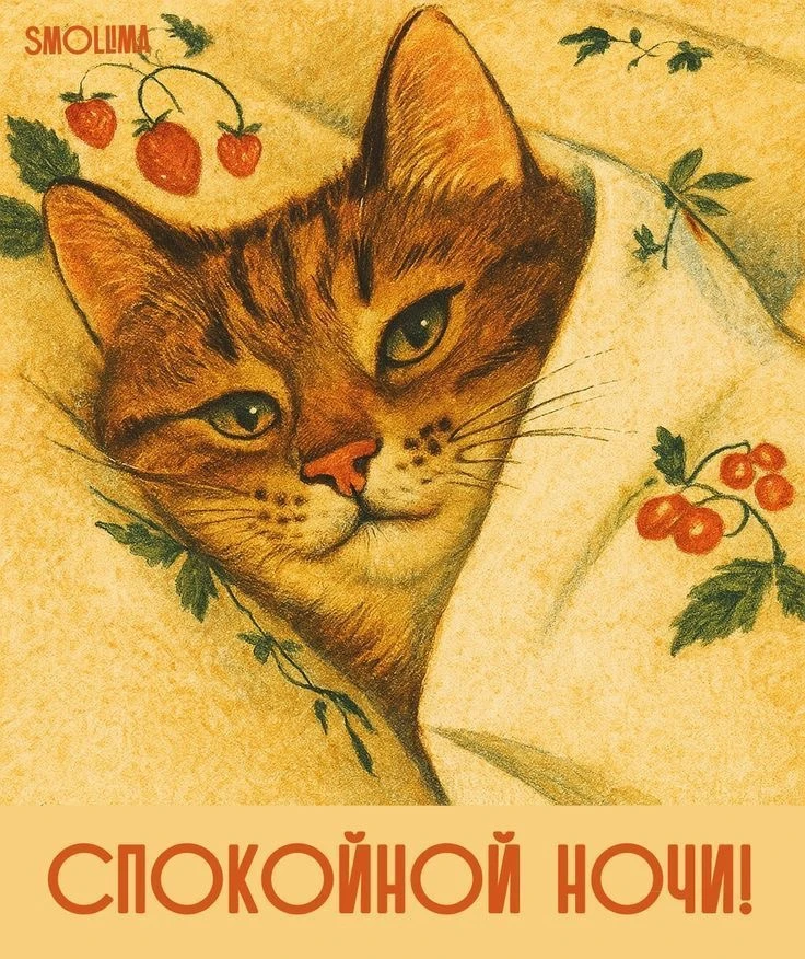 #спокойнойночи