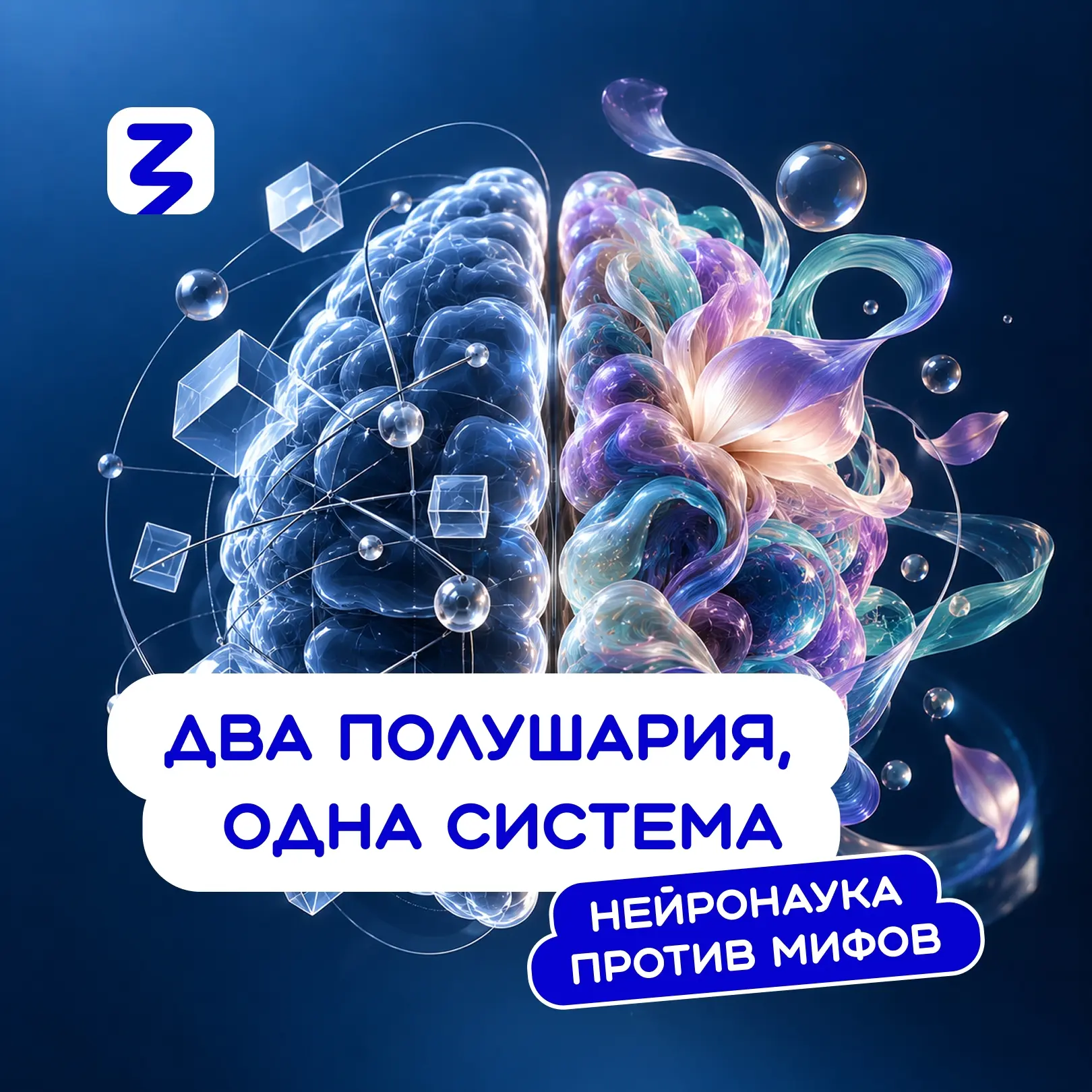 🧠 «Левое полушарие — для логики, правое — для творчества» — одна из самых известных ид...