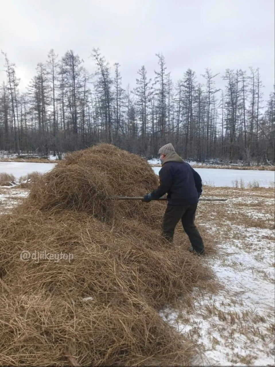 Жители северных районов наконец приступили к сенокосу. Из за обилия воды и подтопленных...