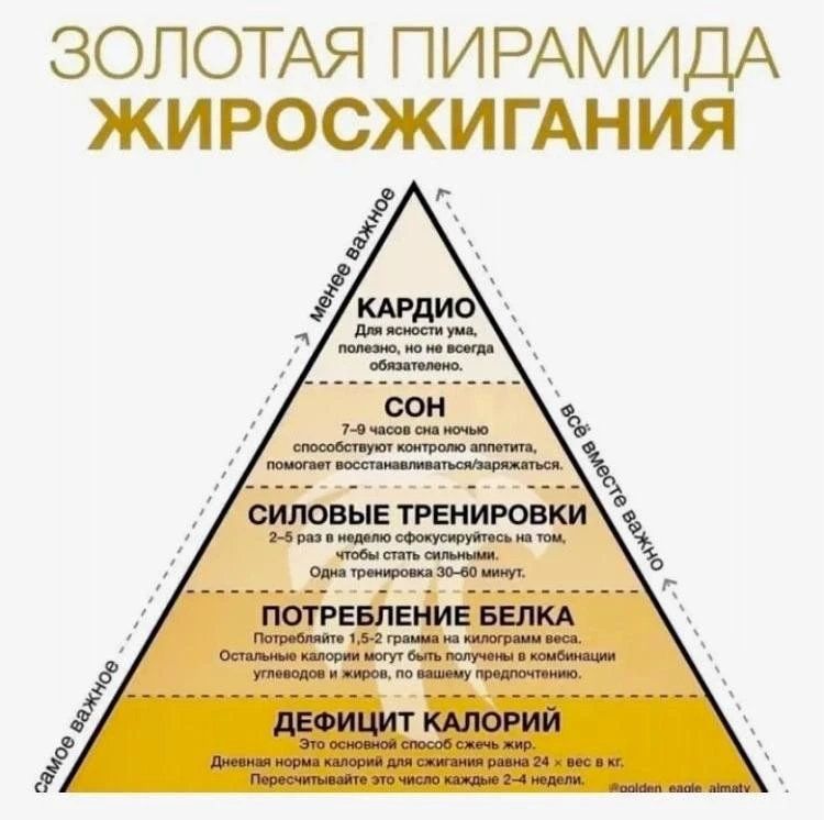 💯 Концепция «золотой пирамиды жиросжигания» — это метафора, которая расставляет приори...