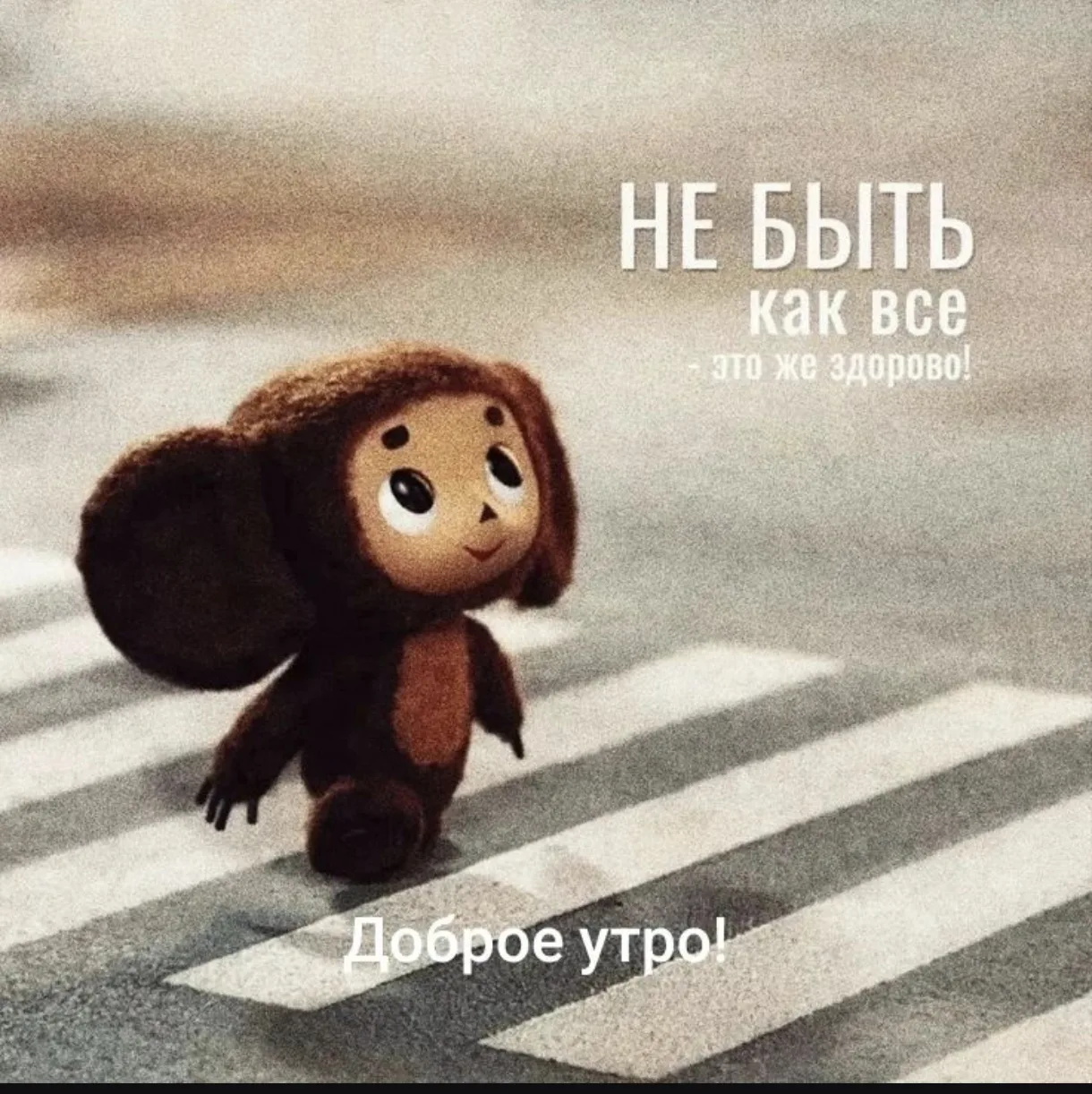 🤖 В нашем саду продолжает свою работу кружок робототехники!