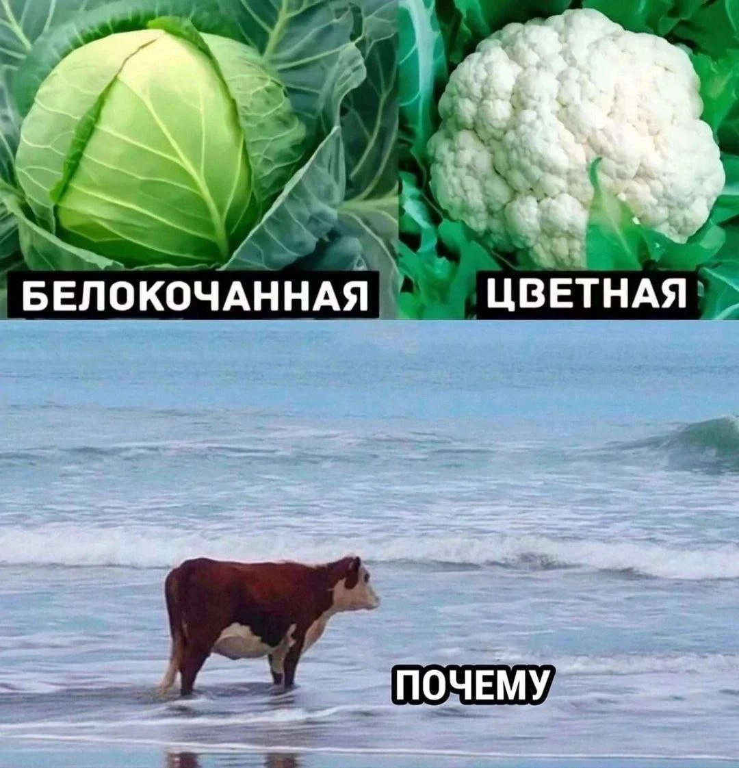 Только недавно дочка спрашивала про это же. ПОТОМУ🤣