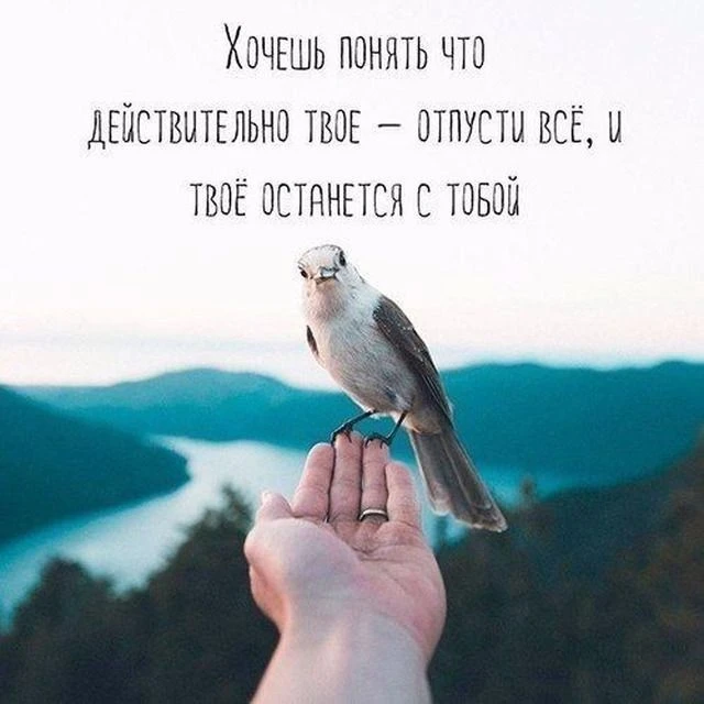 Цитата чаще всего приписывается Экхарту Толле — немецкому писателю и духовному оратору,...
