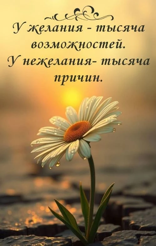 Цитата дня. ✨ У желания – тысяча возможностей. У нежелания – тысяча причин…