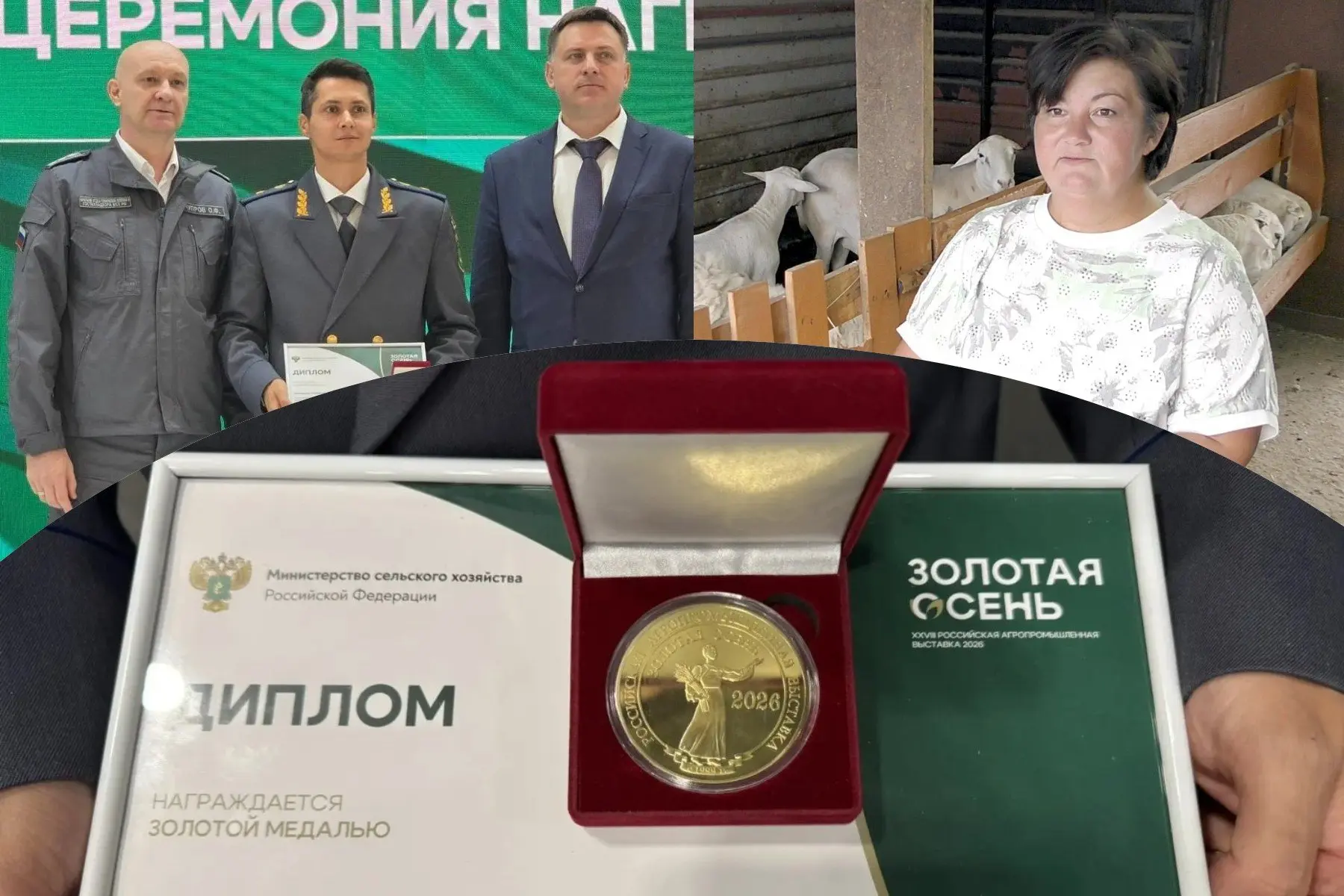 Челябинская область встречает День работника АПК с федеральным триумфом: южноуральские ...