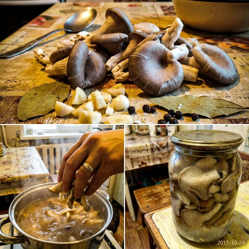 🍄 ВЕШЕНКИ МАРИНОВАННЫЕ