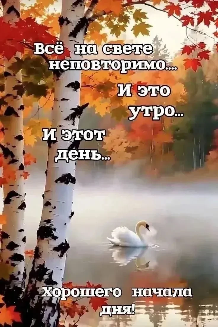 Доброго утра четверга, отличного всем денёчка..)) 🥰💖