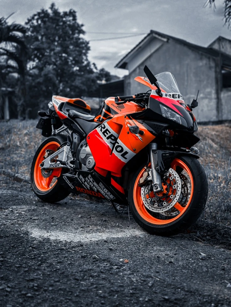 Фото