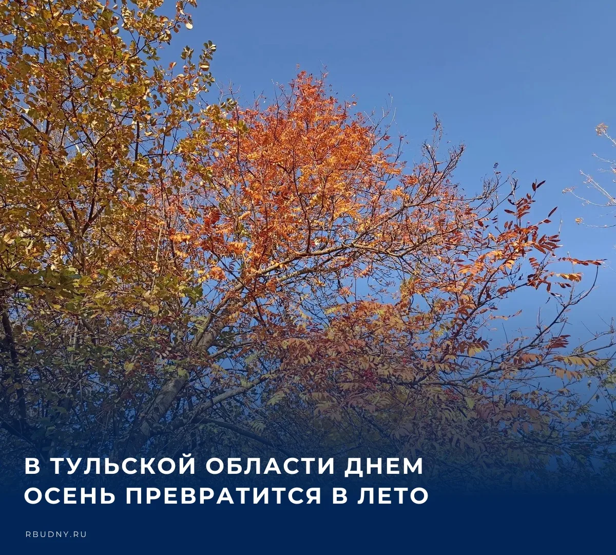 🌤️ Прогнозом погоды на сегодня, 12 октября, делится пресс-служба регионального Главног...