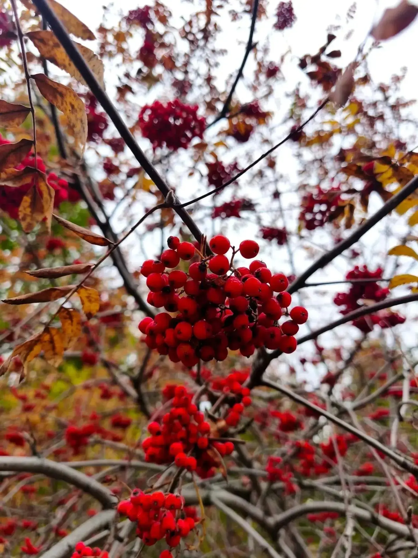 ❗🥰 Осенние пейзажи Челябинска