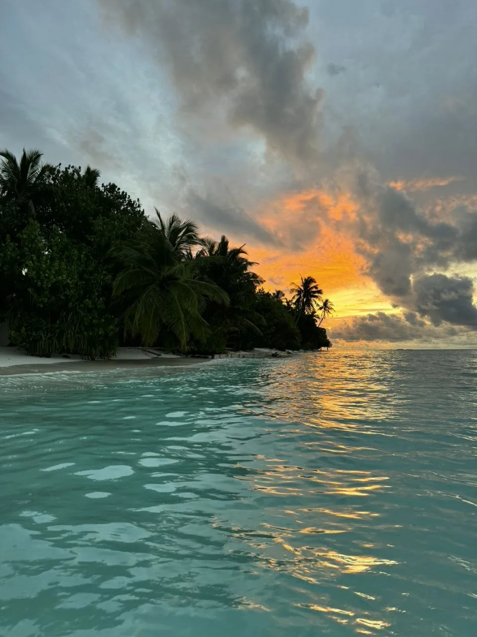 🌞 VILAMENDHOO ISLAND RESORT 4*